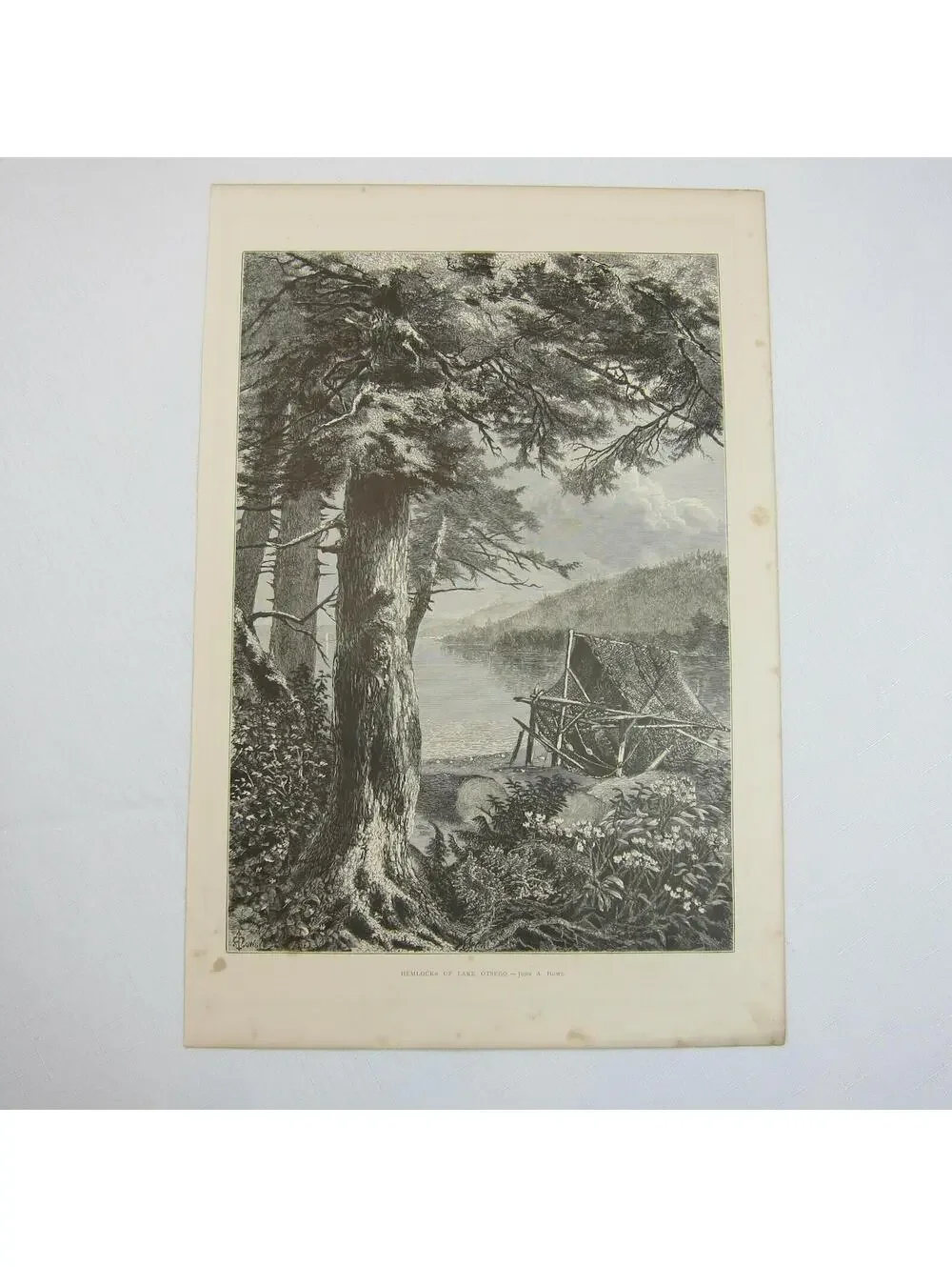 Art Print Hemlock Trees Lake Otsego New York Nature John A. Hows Antique 1874